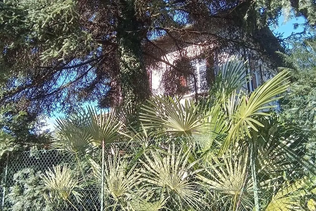 Villa Luigia Leggiuno